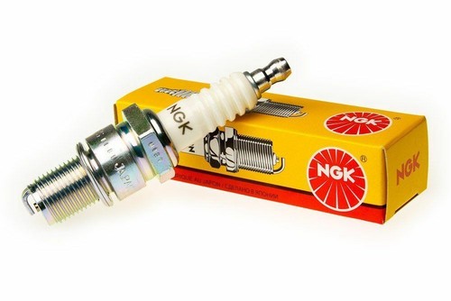 Ngk spark plug for - spark,