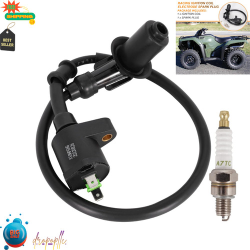 Racing ignition coil - coil, electrode